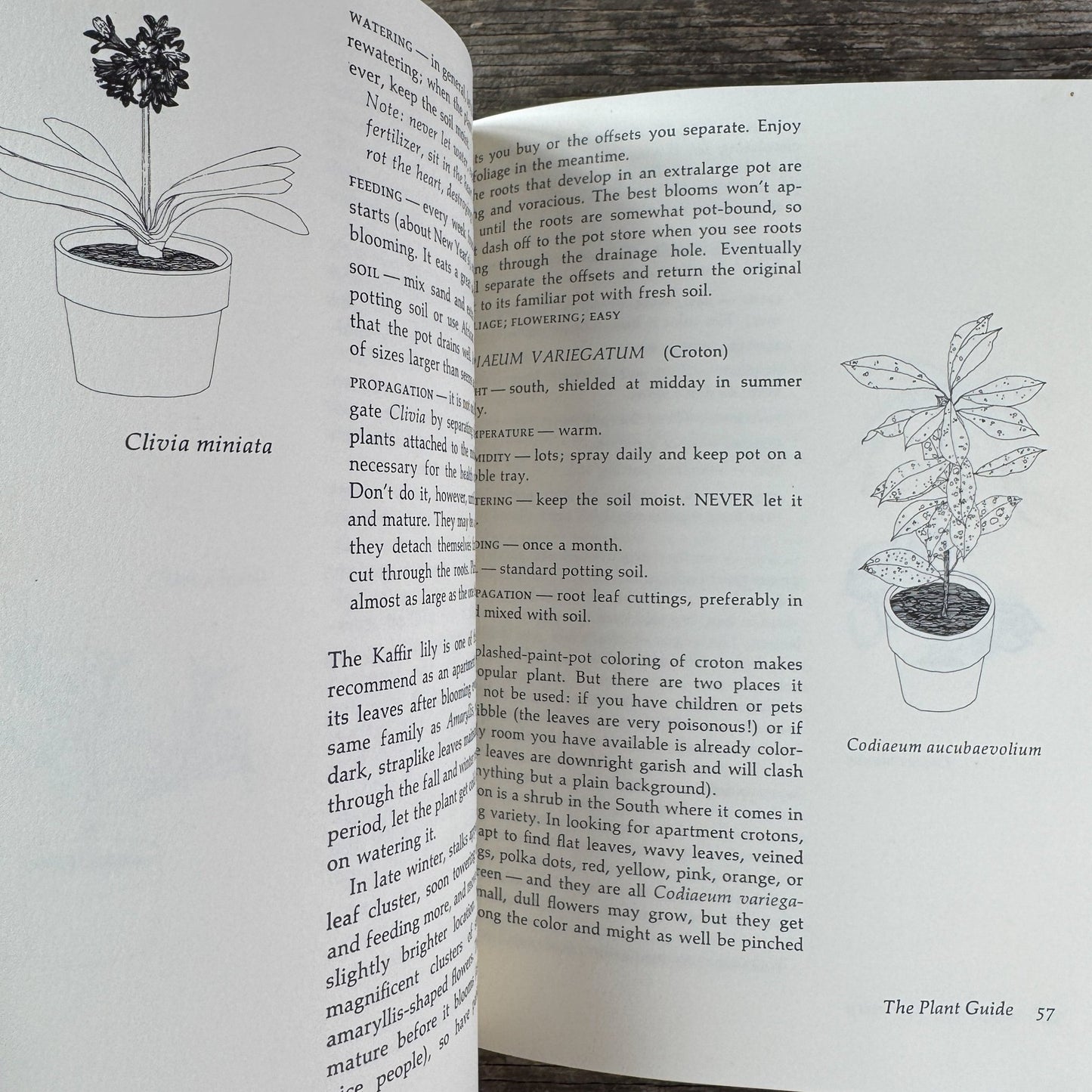 Apartment Greenery, Jean F. Blashfield, 1975 - Pretty Old Books