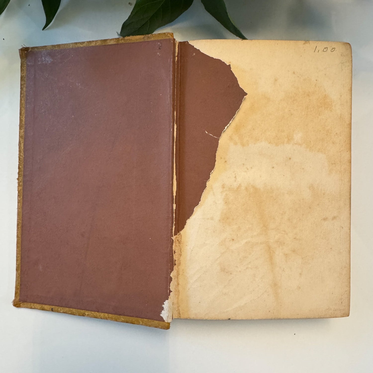 Arabian Nights' Entertainments, 1800s, Ornate Antique Hardcover - Pretty Old Books