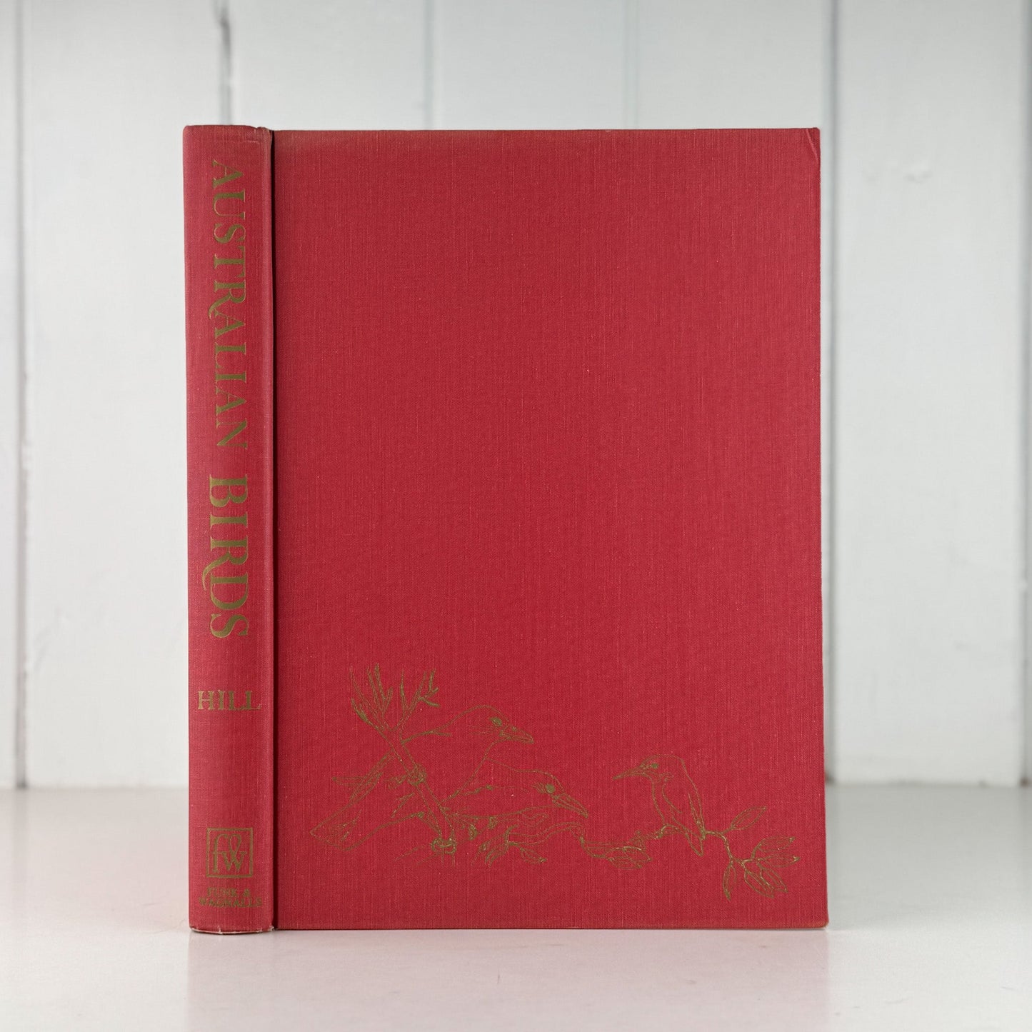 Australian Birds, Robin Hill, 1967, Oversized Illustrated Bird Book - Pretty Old Books