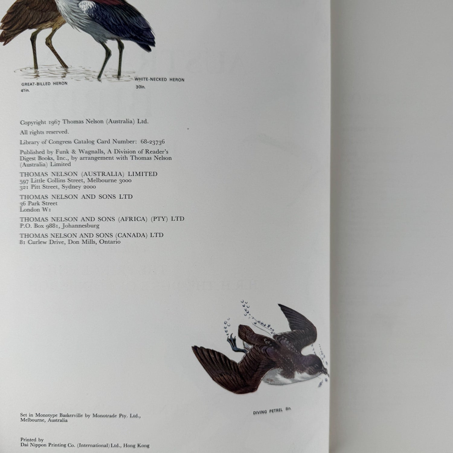 Australian Birds, Robin Hill, 1967, Oversized Illustrated Bird Book - Pretty Old Books