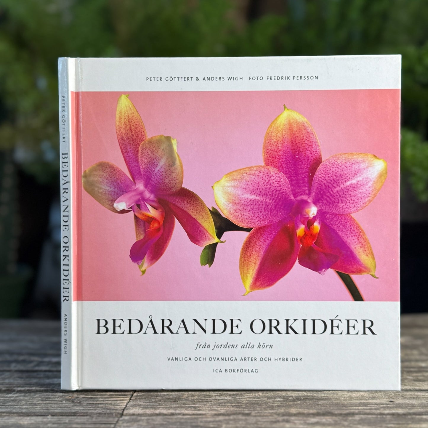Bedårande Orkidéer, Swedish Orchid Guide, 2002 Hardcover - Pretty Old Books