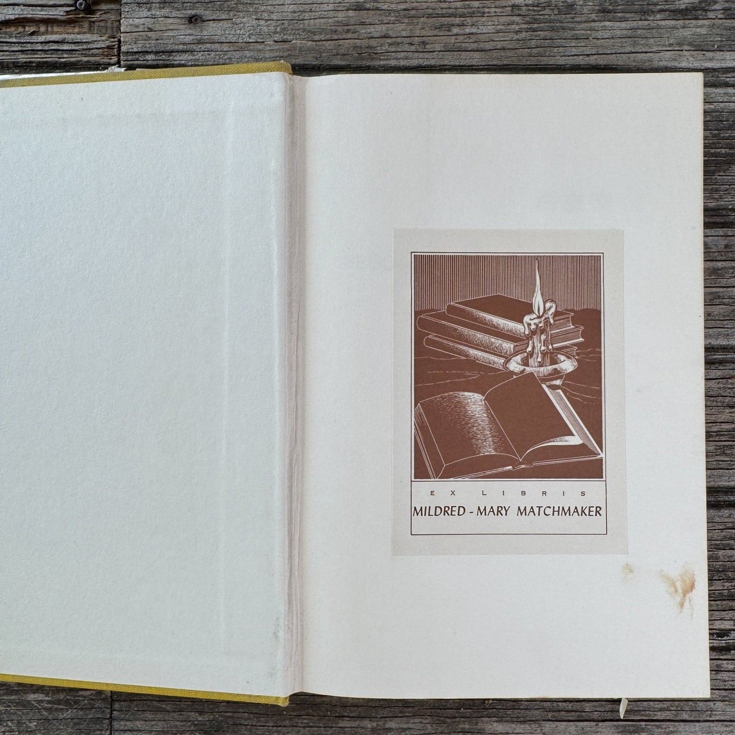 Beggar's Daughter, Mabel Leigh Hunt, 1963, First Edition - Pretty Old Books