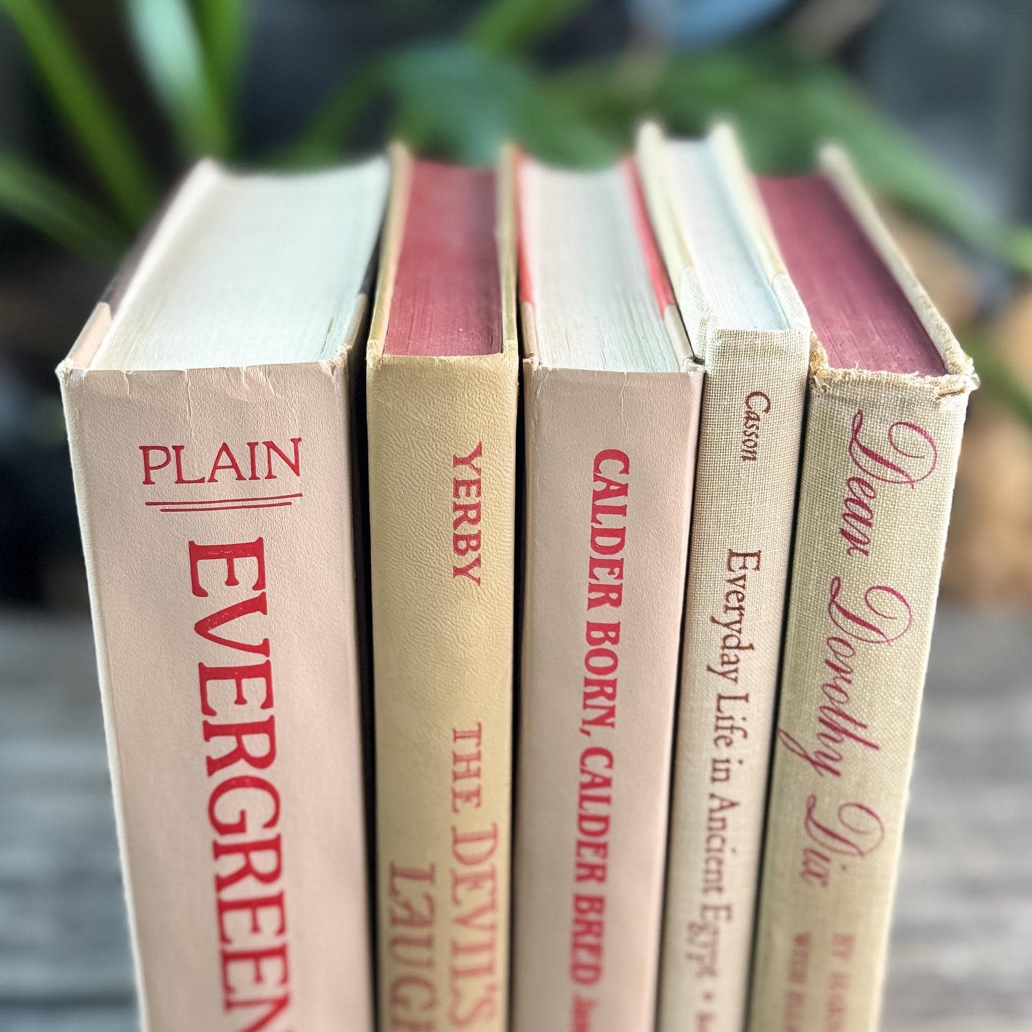 Beige and Red 1970s Vintage Books for Retro Shelf Styling - Pretty Old Books