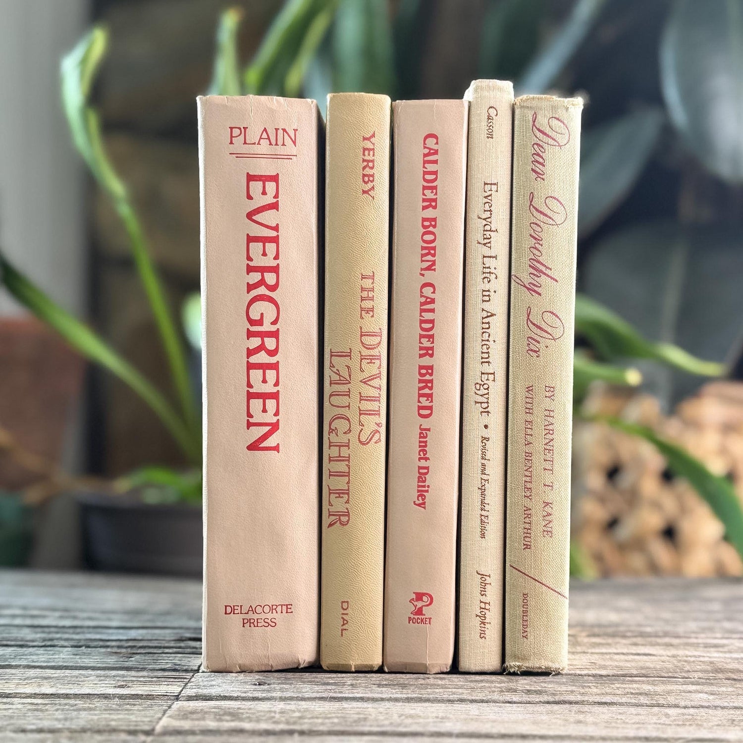 Beige and Red 1970s Vintage Books for Retro Shelf Styling - Pretty Old Books