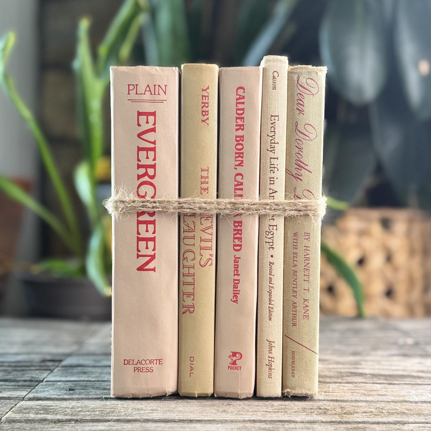 Beige and Red 1970s Vintage Books for Retro Shelf Styling - Pretty Old Books