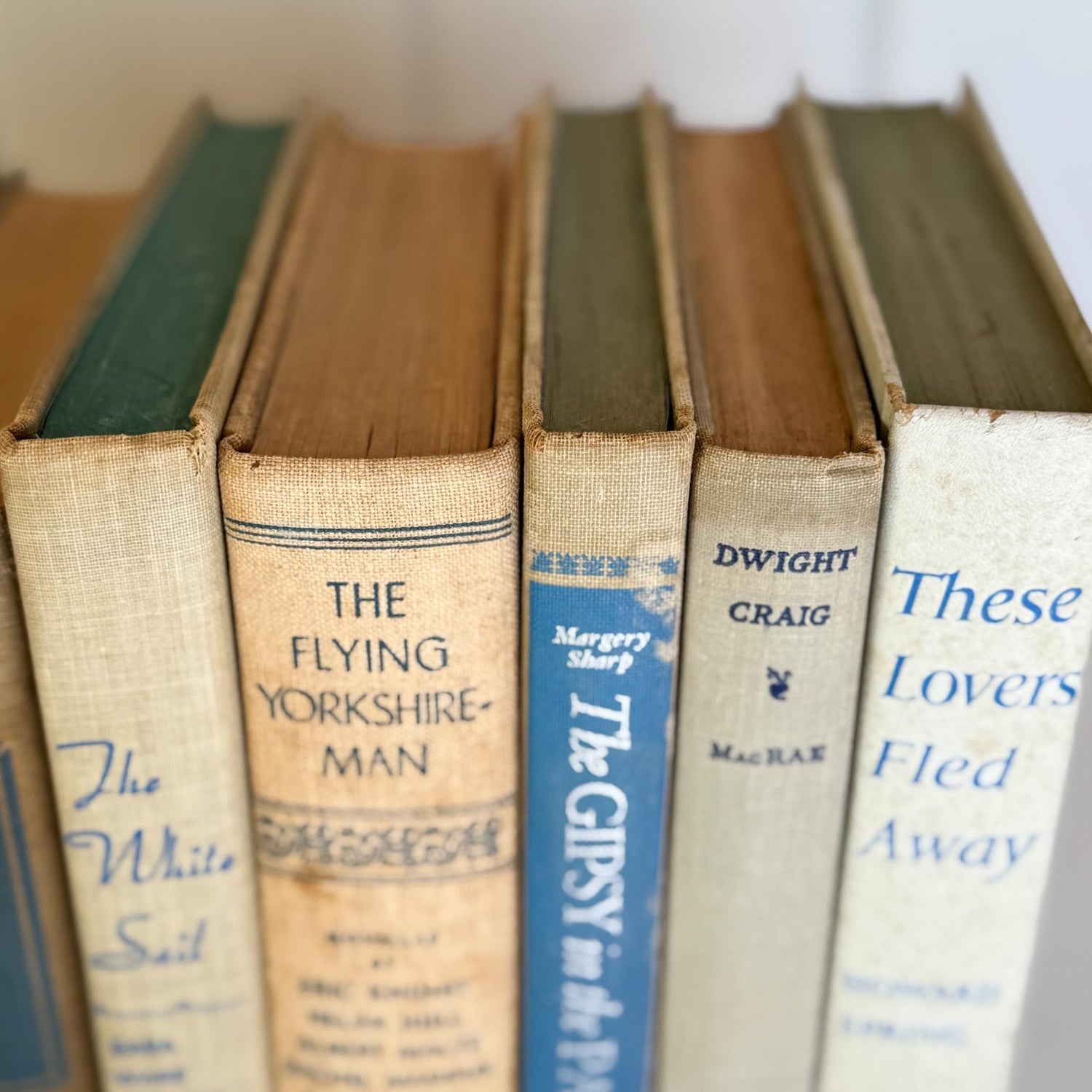 Beige, Gray, and Blue Decorative Books for Shelf Styling - Pretty Old Books