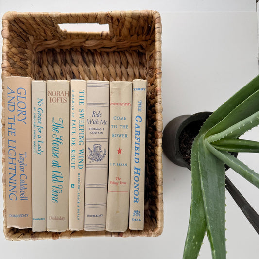 Beige Retro Decorative Books with Fun Blue - Green Lettering, 1970s Vintage Decor - Pretty Old Books