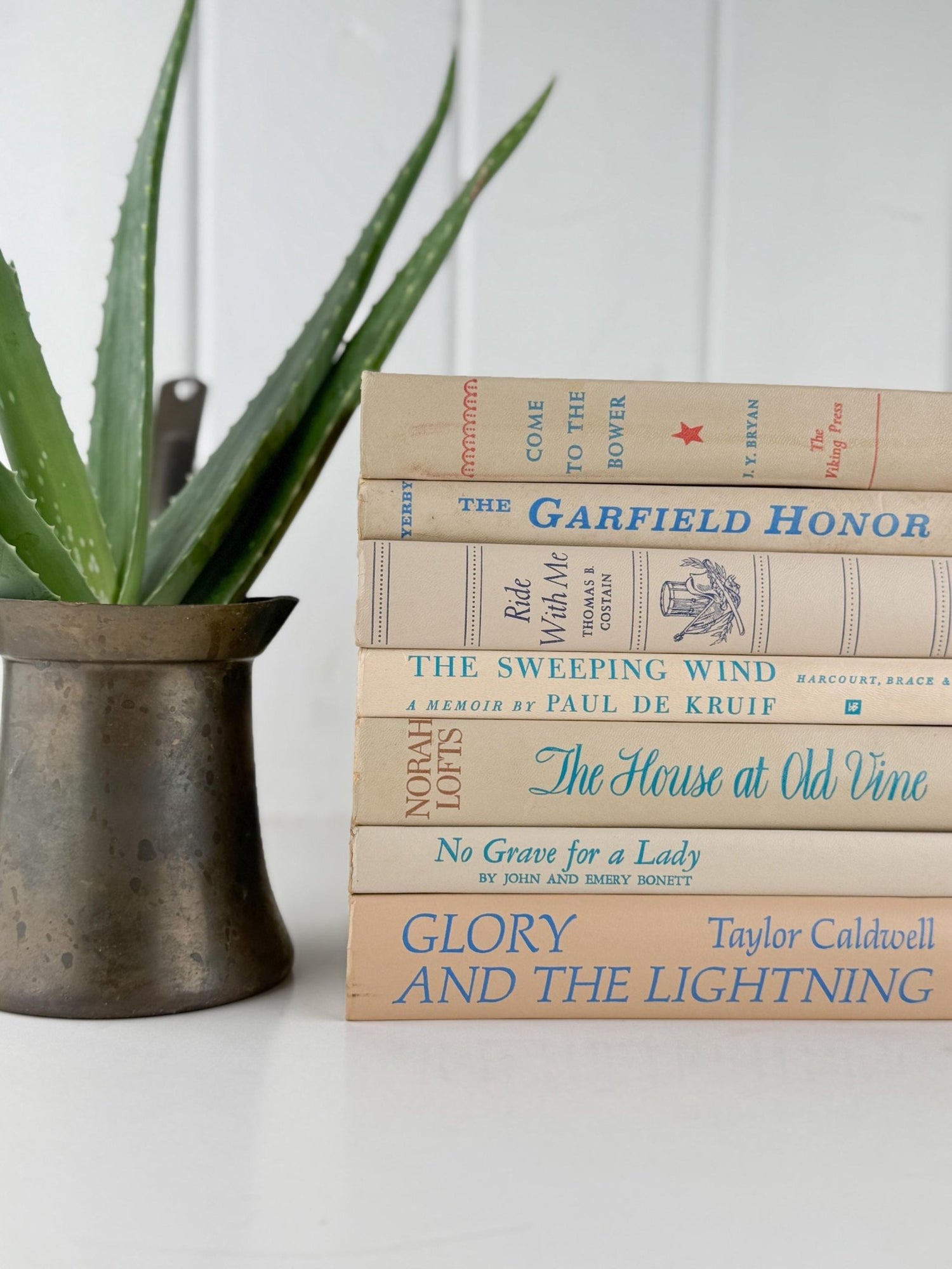 Beige Retro Decorative Books with Fun Blue - Green Lettering, 1970s Vintage Decor - Pretty Old Books