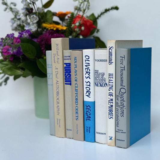 Beige, White, and Blue Vintage Books for Decor, Vintage Book Set for Shelf Styling - Pretty Old Books