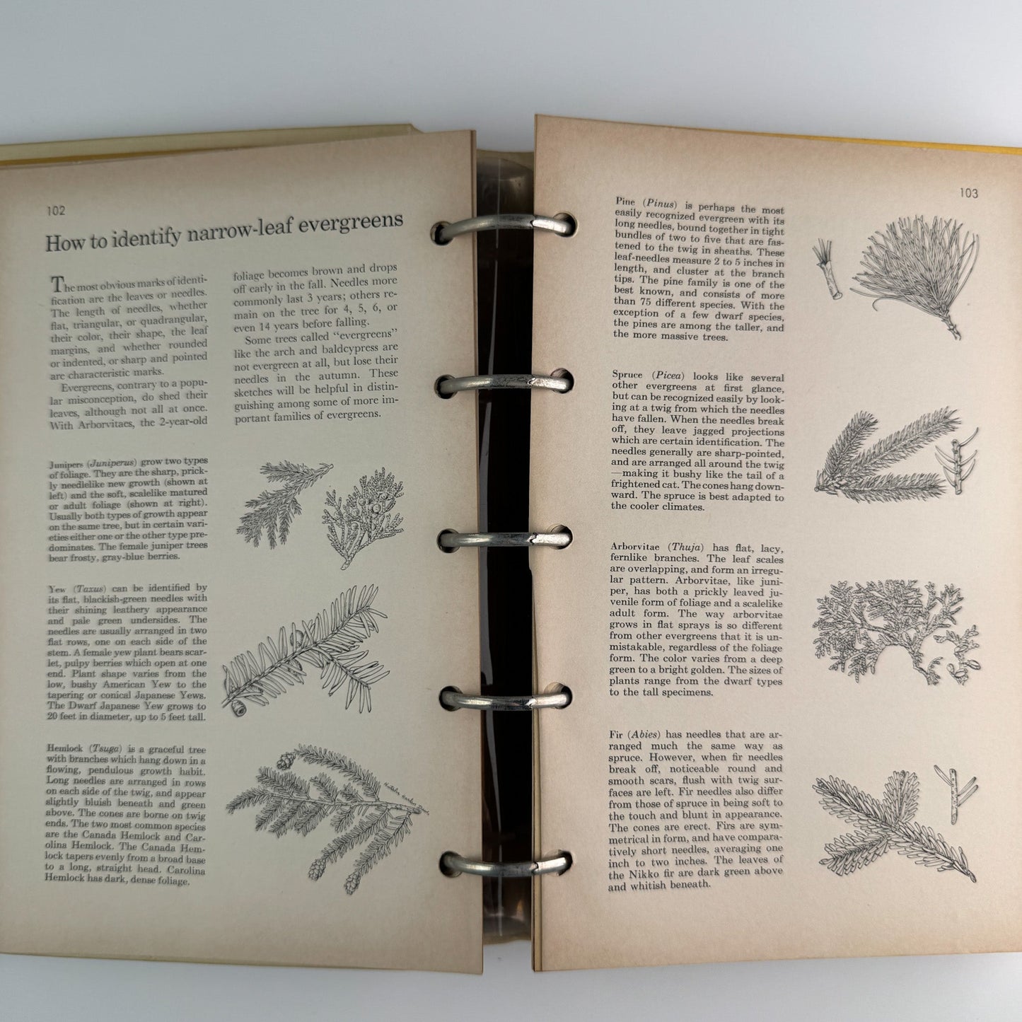 Better Homes and Gardens New Garden Book, 1961 Binder Book - Pretty Old Books