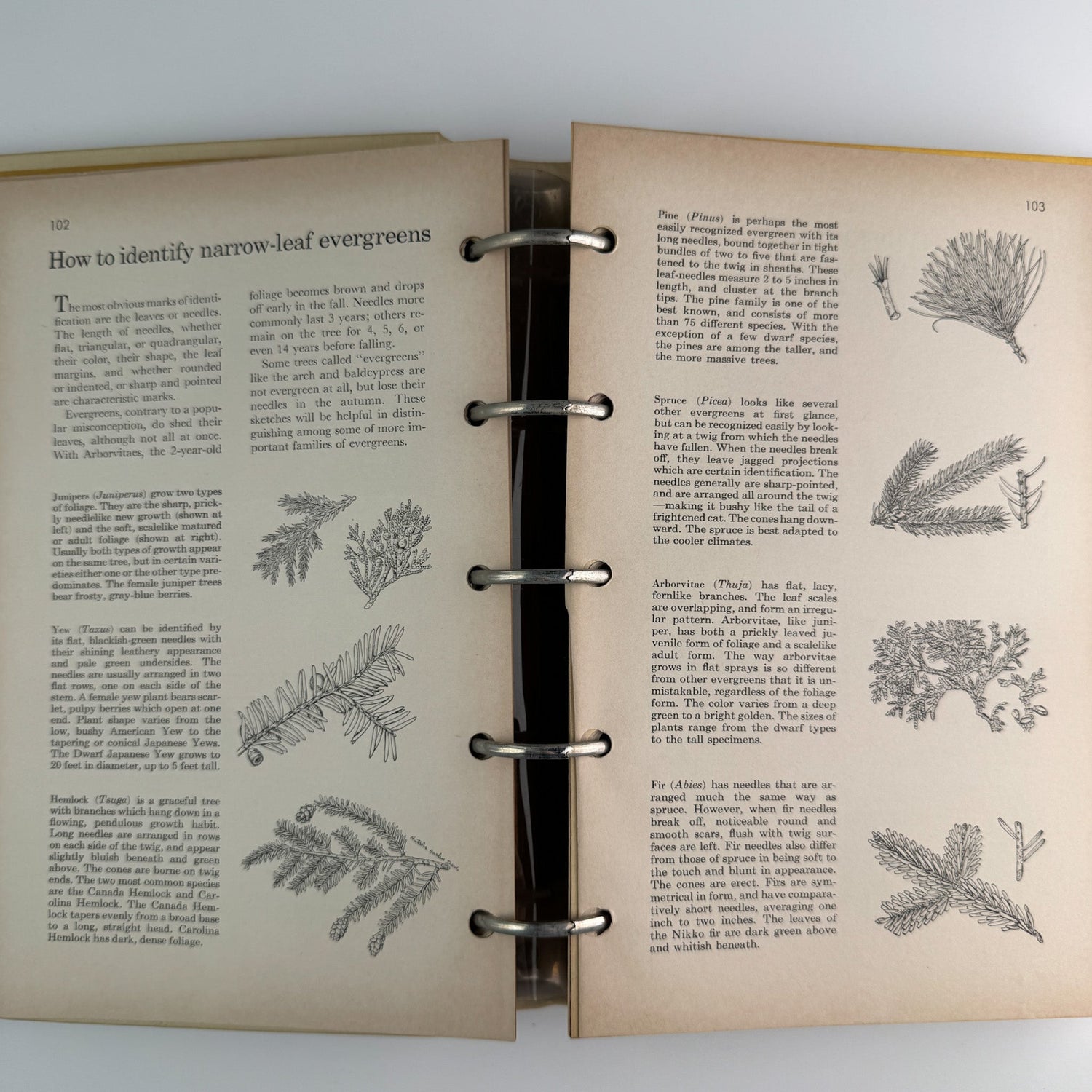 Better Homes and Gardens New Garden Book, 1961 Binder Book - Pretty Old Books