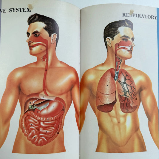 Better Living Encyclopedia, Family Health, Illustrated Anatomy, Weight, Mental Health, Pregnancy, 1963 - Pretty Old Books