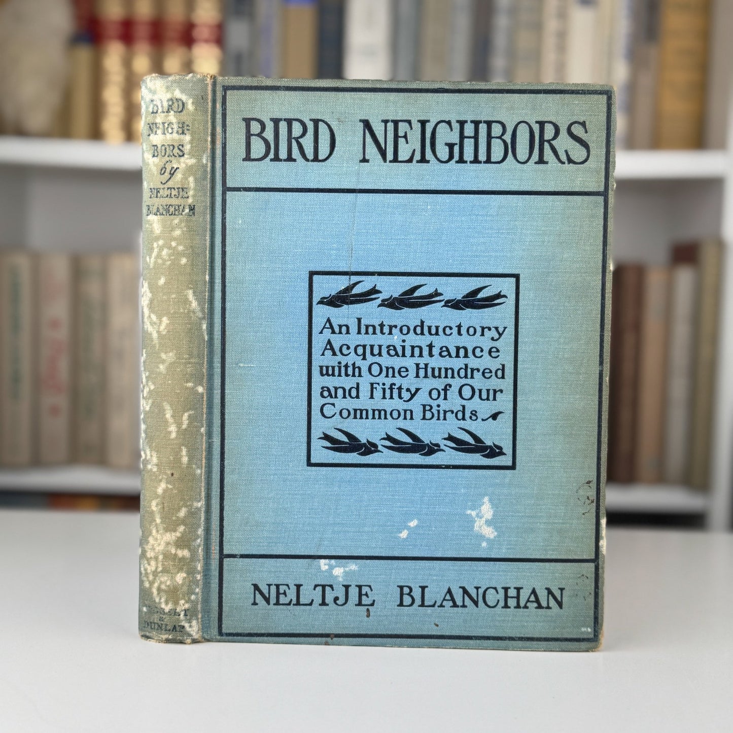 Bird Neighbors, Neltje Blanchan, 1904 Hardcover - Pretty Old Books