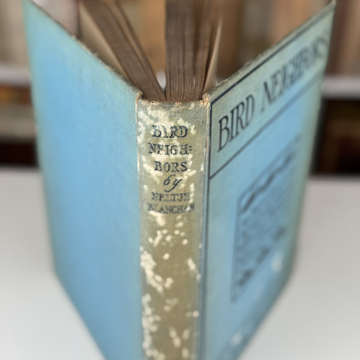 Bird Neighbors, Neltje Blanchan, 1904 Hardcover - Pretty Old Books