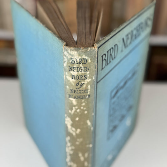 Bird Neighbors, Neltje Blanchan, 1904 Hardcover - Pretty Old Books