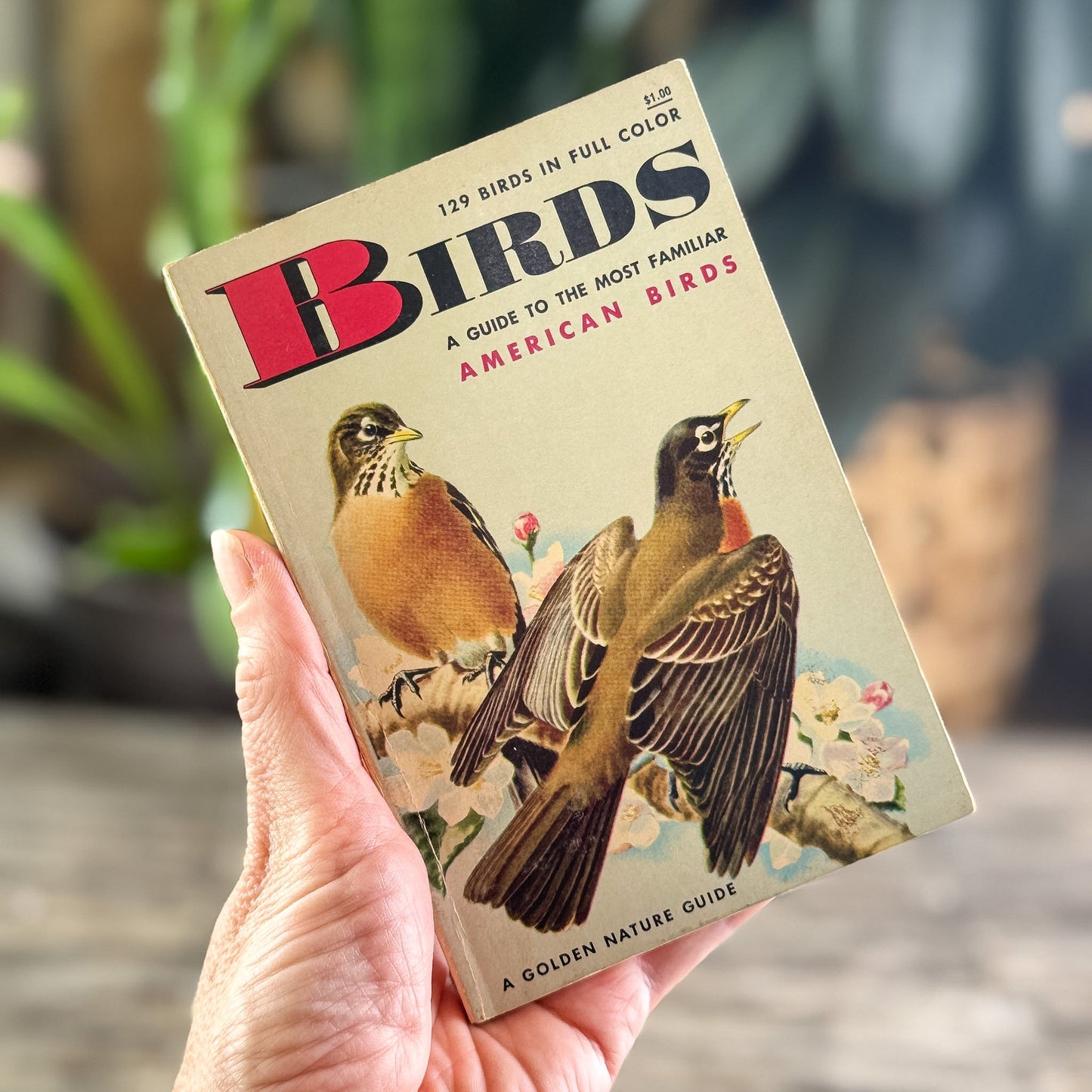 Birds, A Golden Guide, 1956 - Pretty Old Books