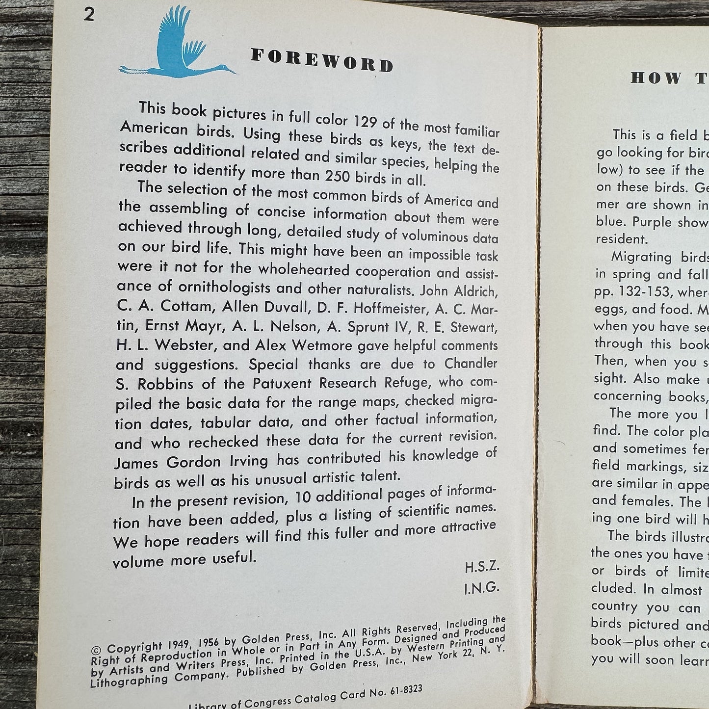 Birds, A Golden Guide, 1956 - Pretty Old Books