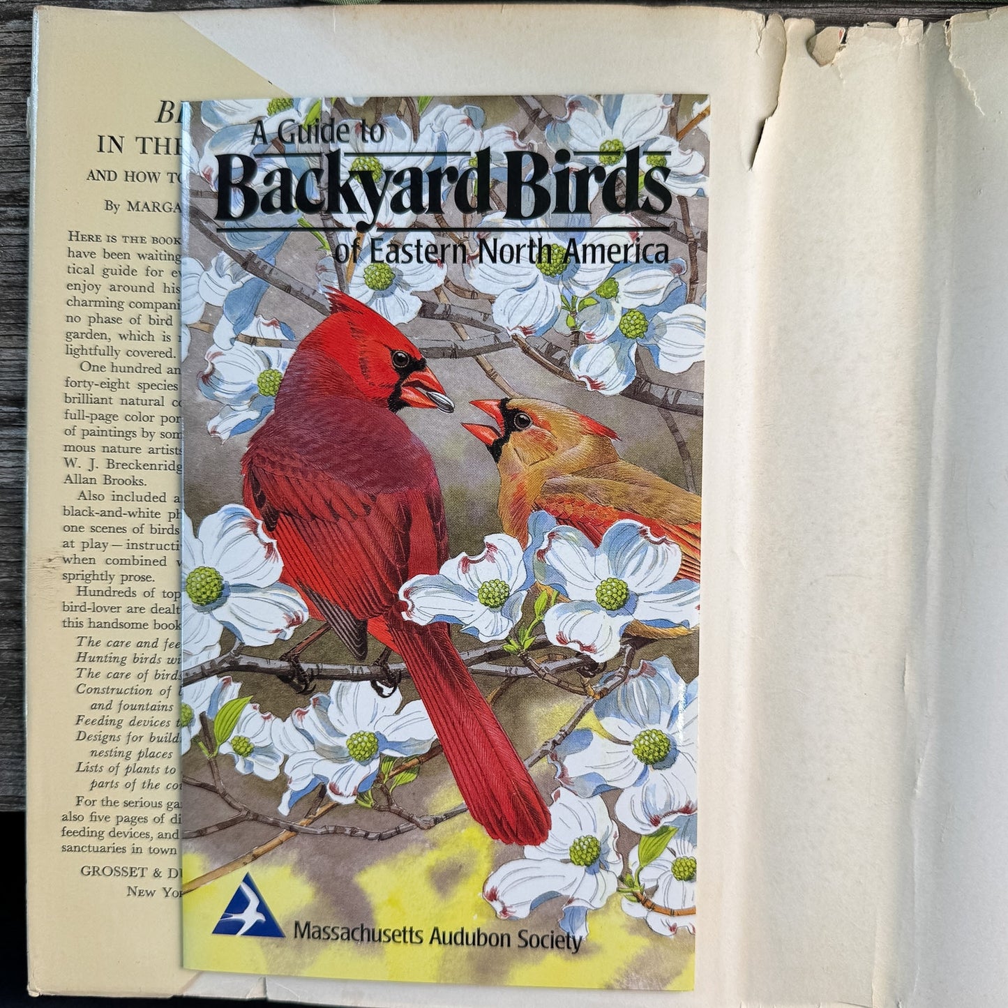 Birds in the Garden and How to Attract Them, Margaret McKenny, 1971 Printing - Pretty Old Books
