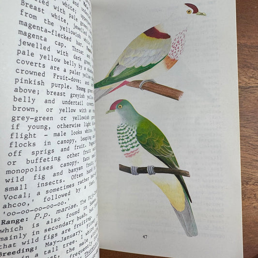 Birds of the Fiji Bush, Vintage 1984 Illustrated Field Guide Paperback - Pretty Old Books