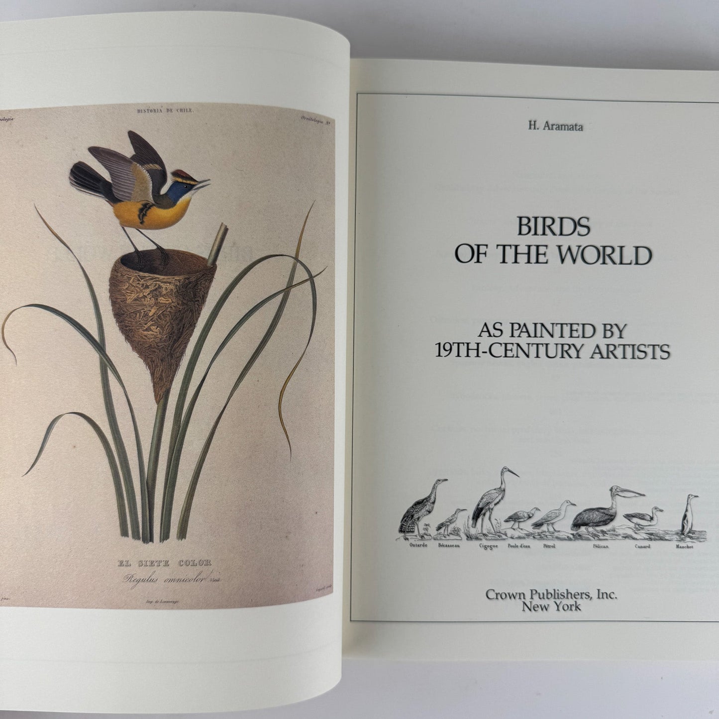 Birds of the World As Painted by 19th Century Artists, Hiroshi Aramata, 1989 - Pretty Old Books