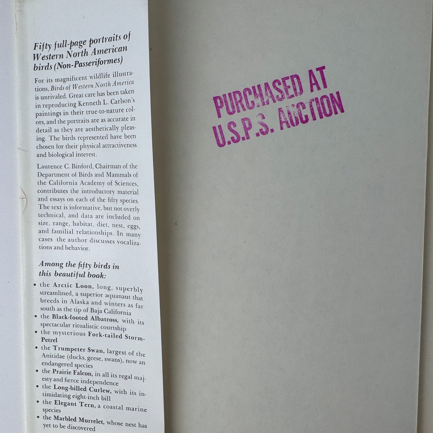 Birds of Western North America, 1974, 1st Edition, Stunning Full - Page Paintings - Pretty Old Books