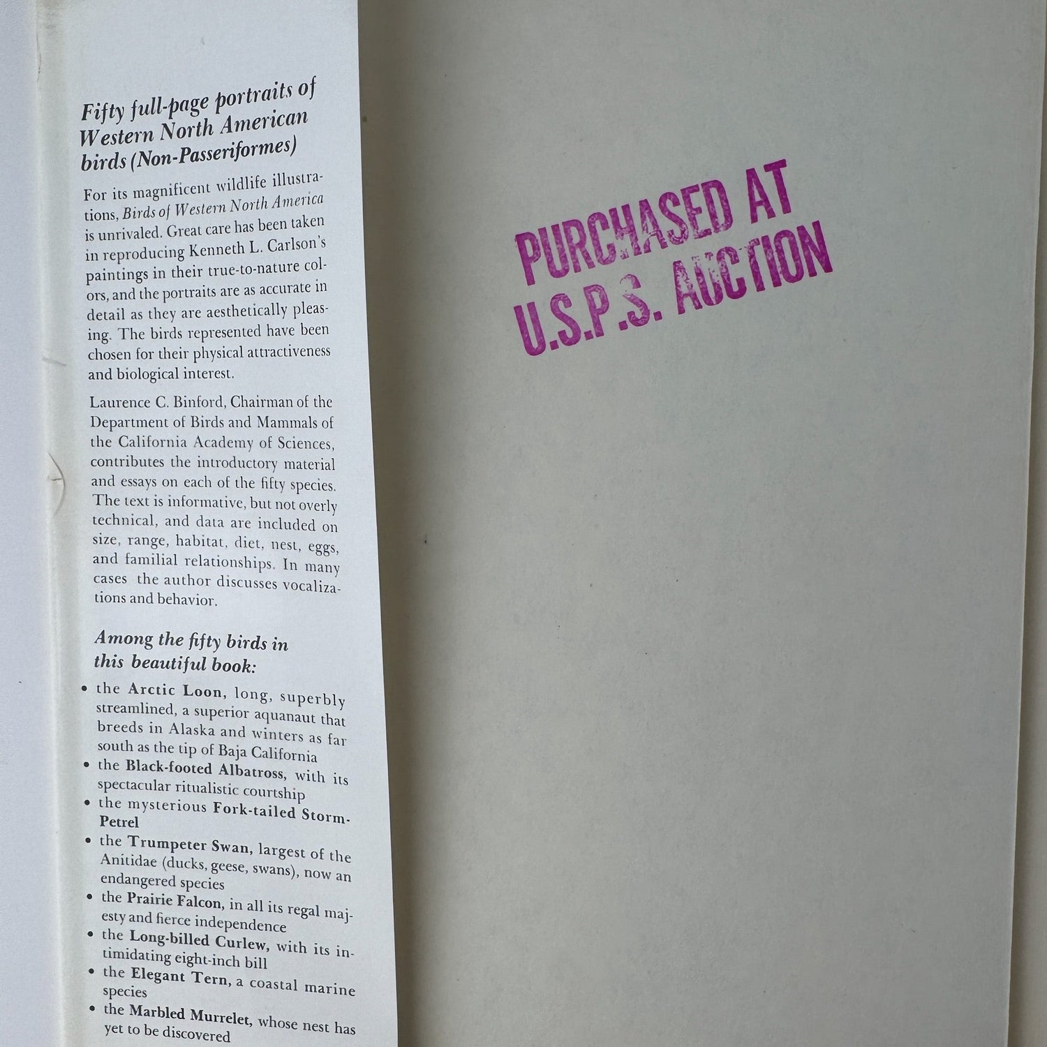 Birds of Western North America, 1974, 1st Edition, Stunning Full - Page Paintings - Pretty Old Books