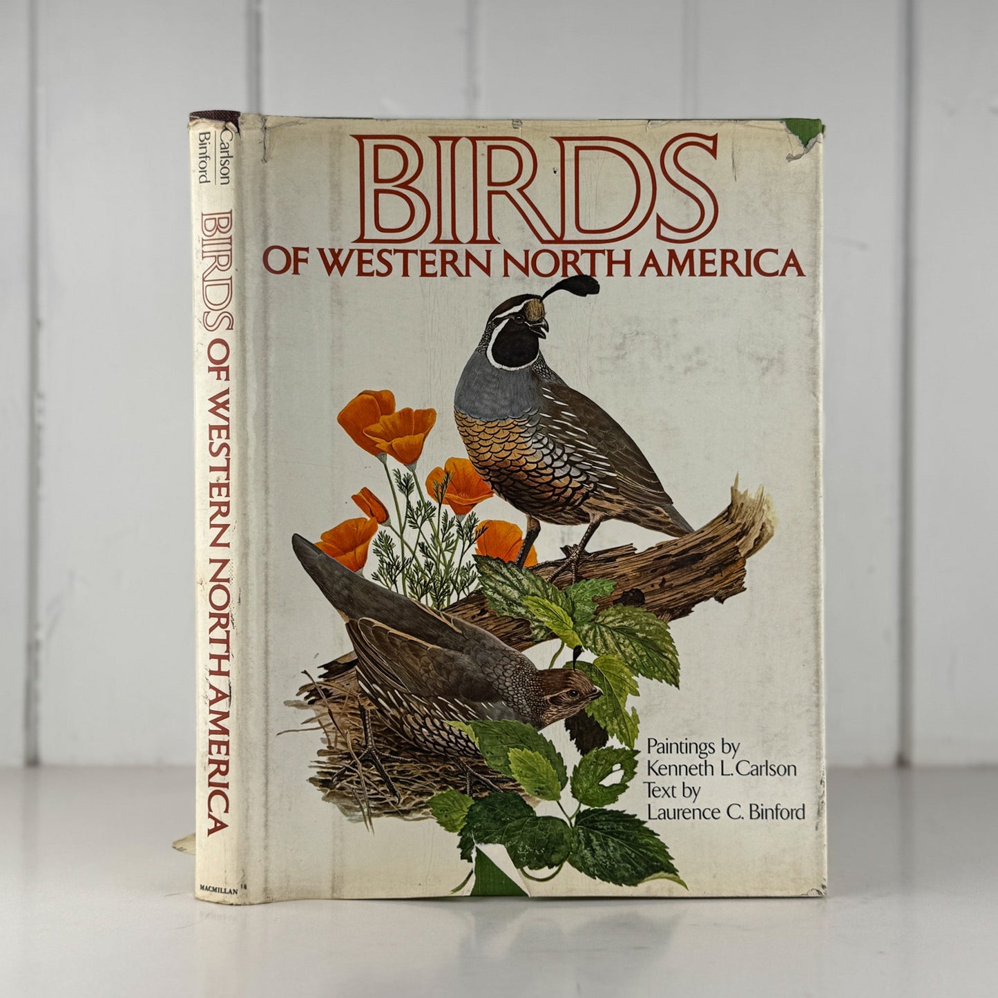 Birds of Western North America, 1974, 1st Edition, Stunning Full - Page Paintings - Pretty Old Books