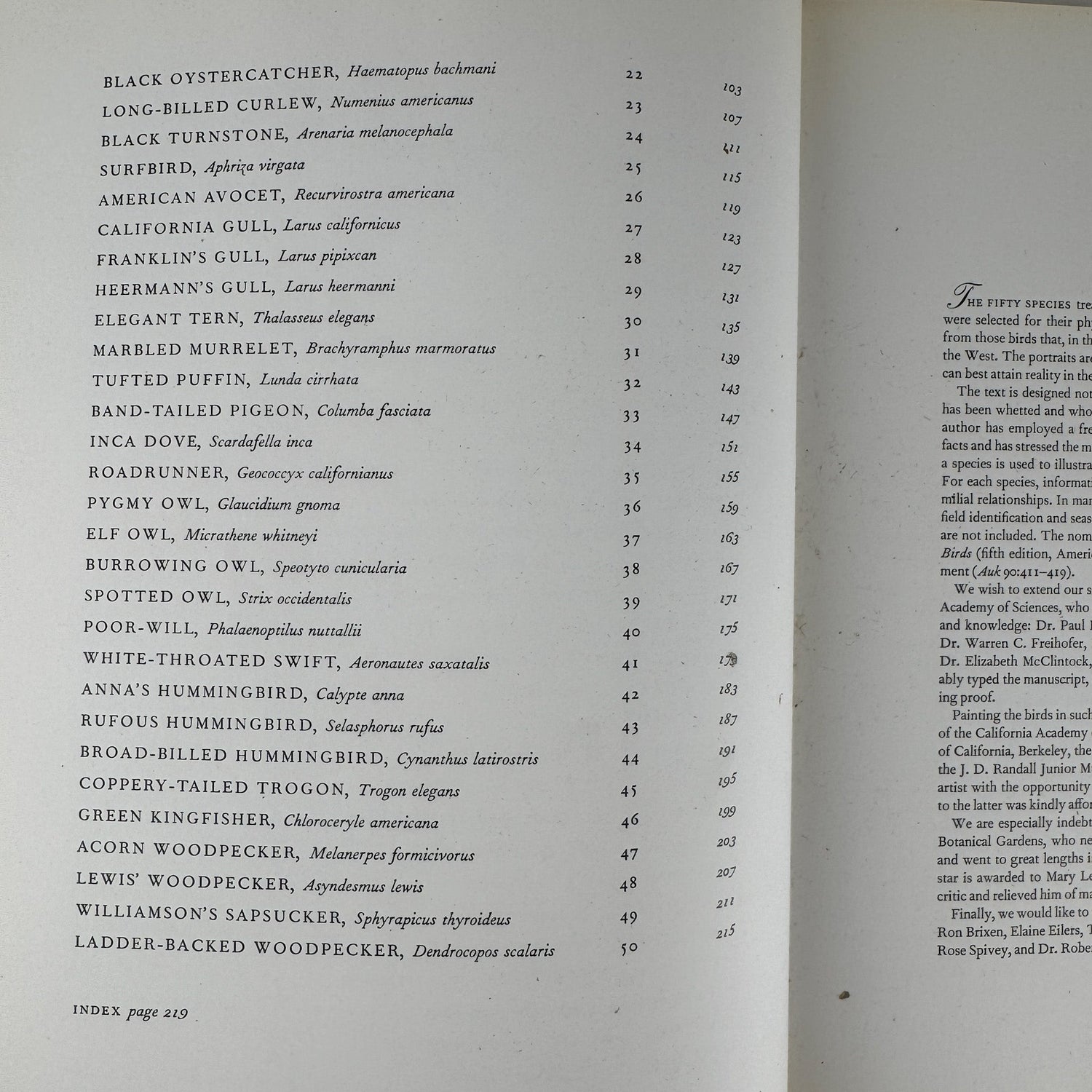 Birds of Western North America, 1974, 1st Edition, Stunning Full - Page Paintings - Pretty Old Books