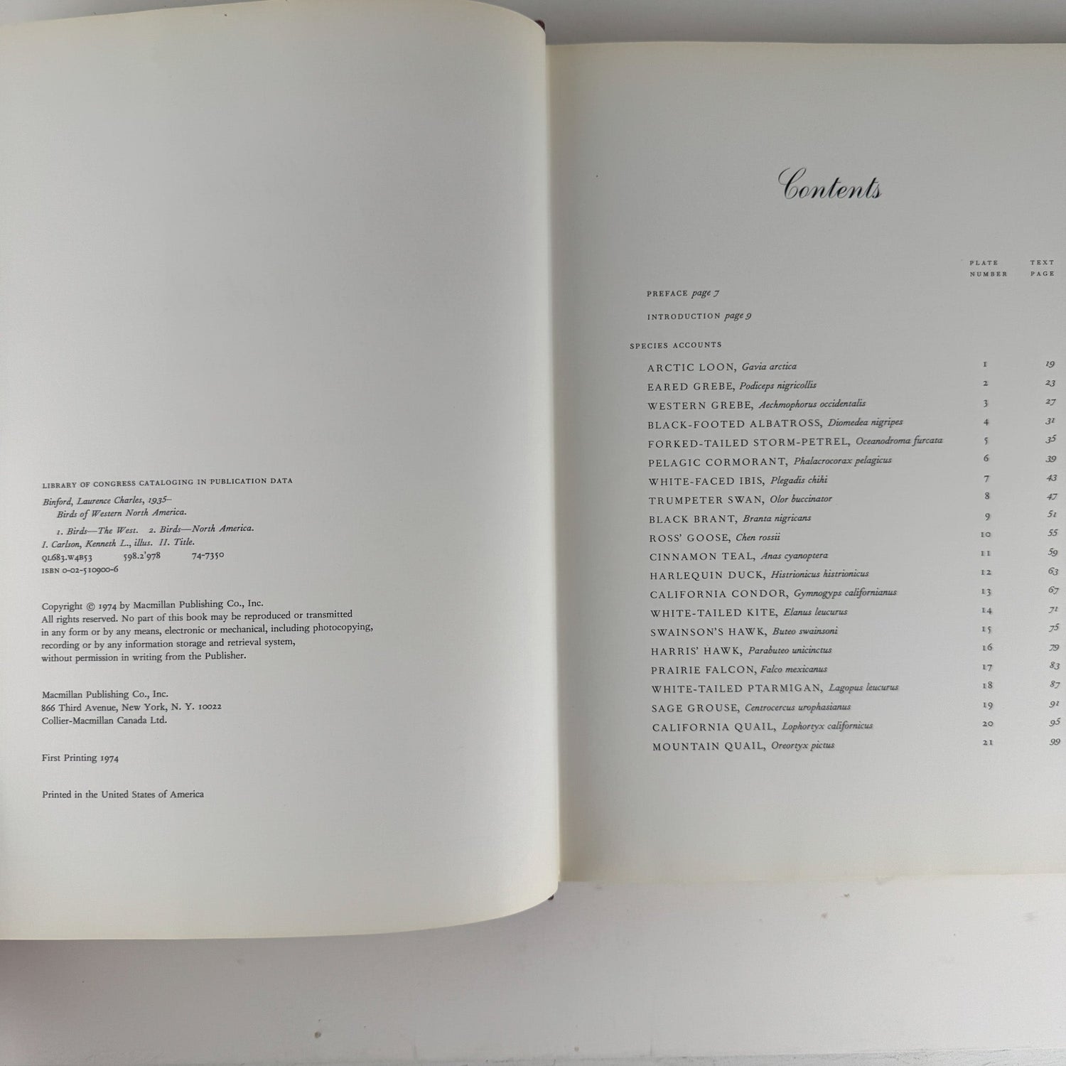 Birds of Western North America, 1974, 1st Edition, Stunning Full - Page Paintings - Pretty Old Books