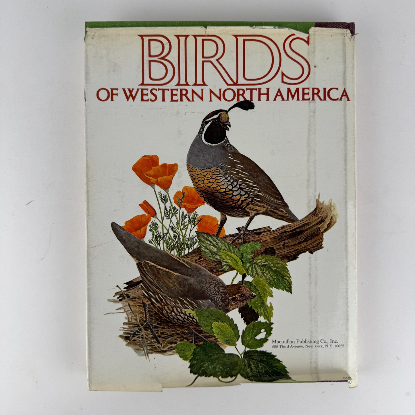 Birds of Western North America, 1974, 1st Edition, Stunning Full - Page Paintings - Pretty Old Books