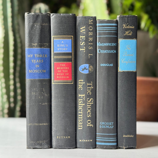 Black and Blue Mid Century Modern Decorative Books for Display - Pretty Old Books