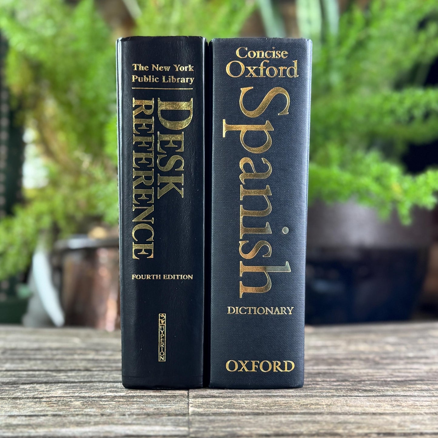Black and Dark Gray Oversized Reference Book Set - Pretty Old Books