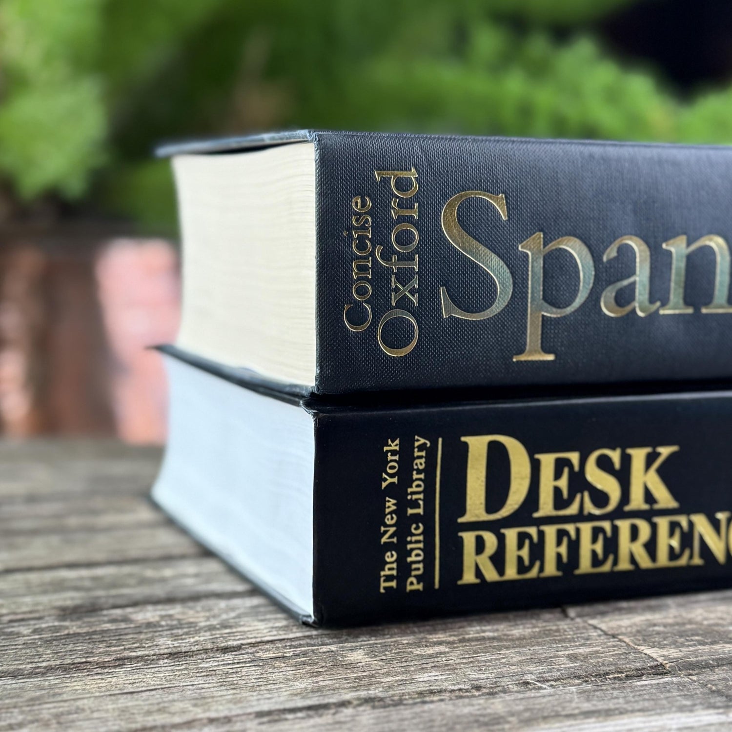 Black and Dark Gray Oversized Reference Book Set - Pretty Old Books