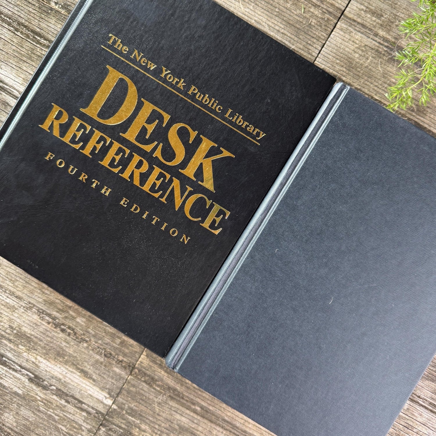 Black and Dark Gray Oversized Reference Book Set - Pretty Old Books