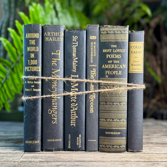 Black and Gold Bold Book Set For Moody Styling - Pretty Old Books