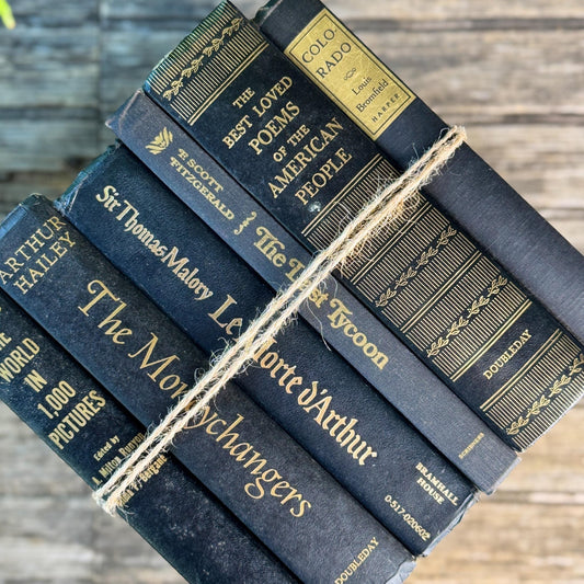 Black and Gold Bold Book Set For Moody Styling - Pretty Old Books
