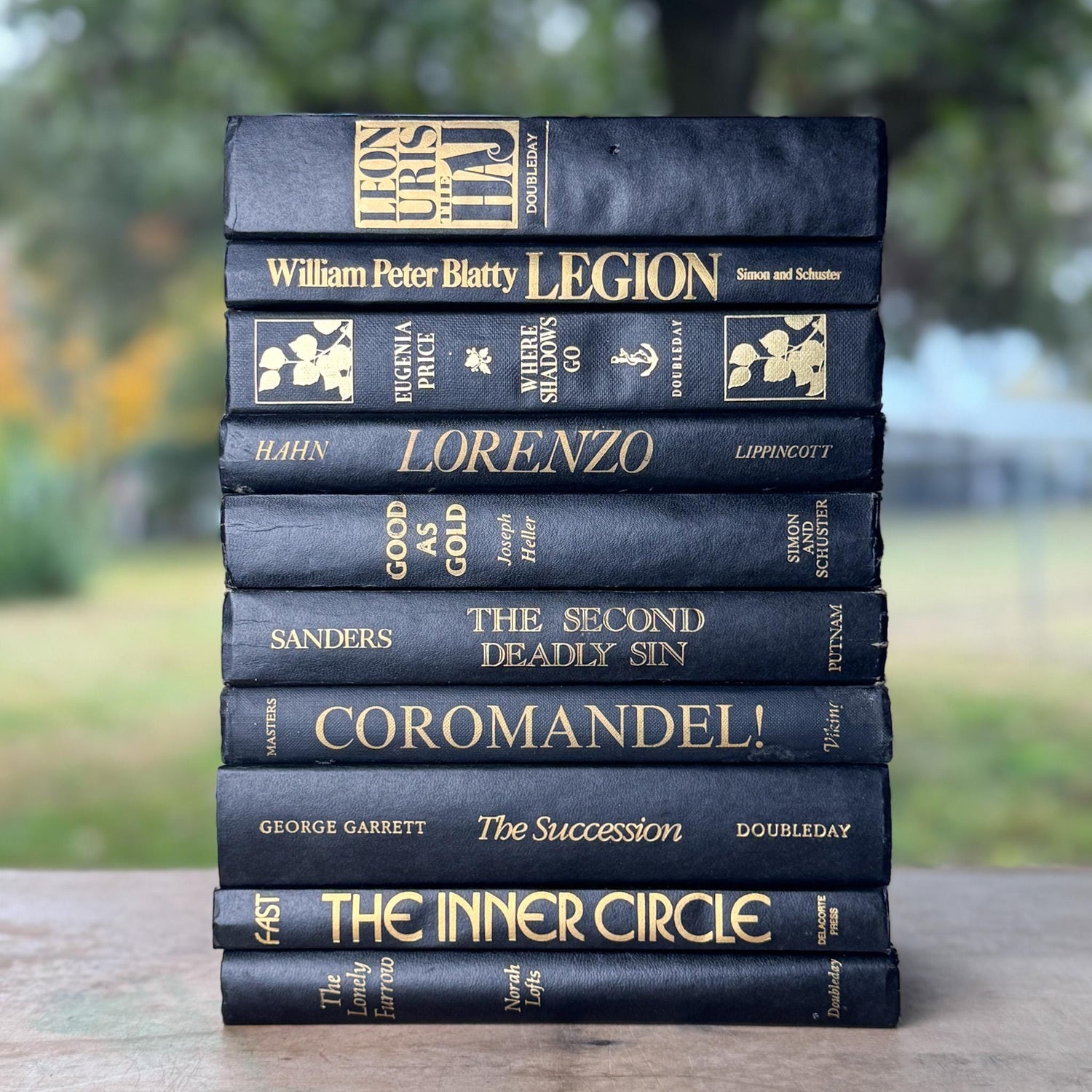 Black and Gold Vintage Book Bundle for Dark Academia Shelf Styling - Pretty Old Books