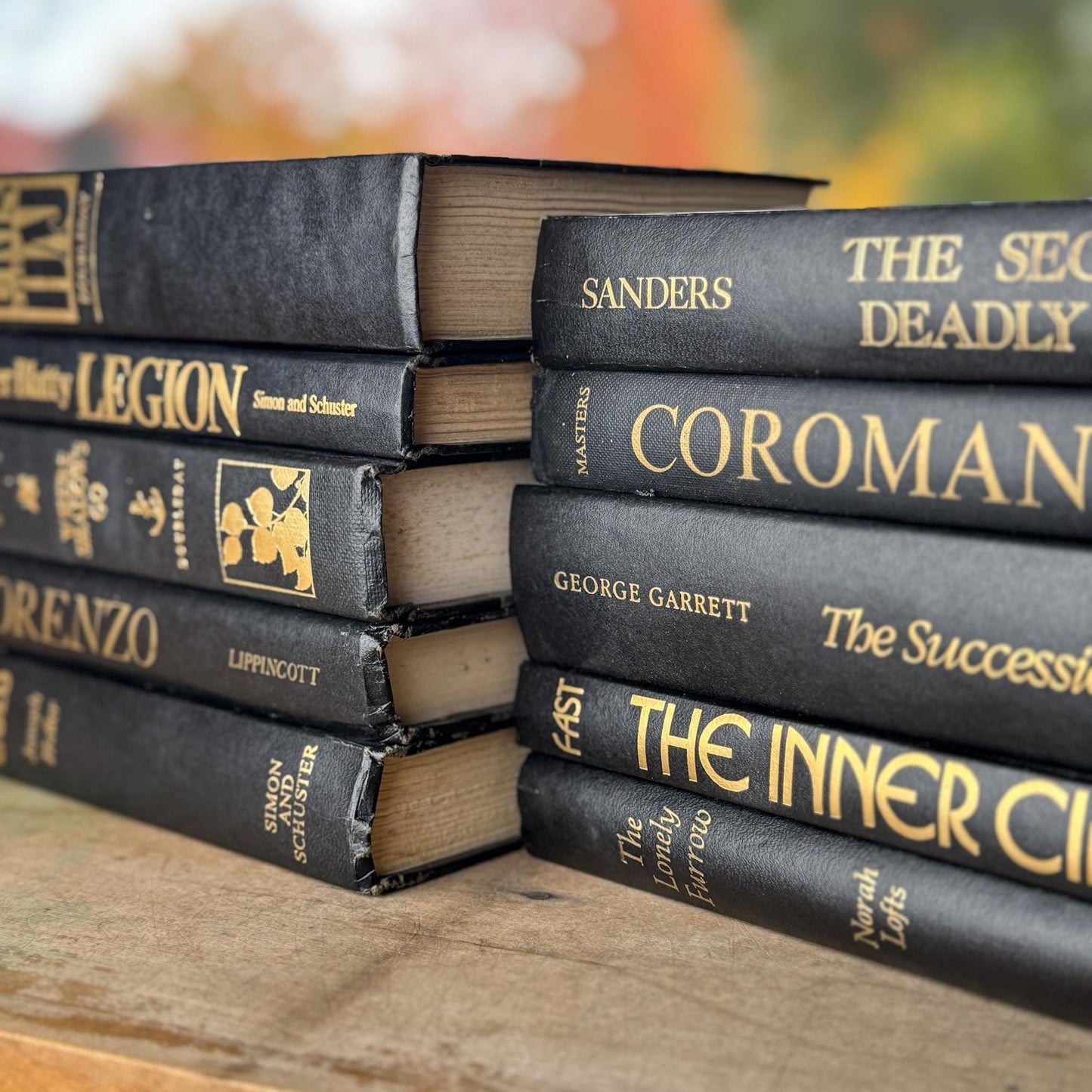 Black and Gold Vintage Book Bundle for Dark Academia Shelf Styling - Pretty Old Books