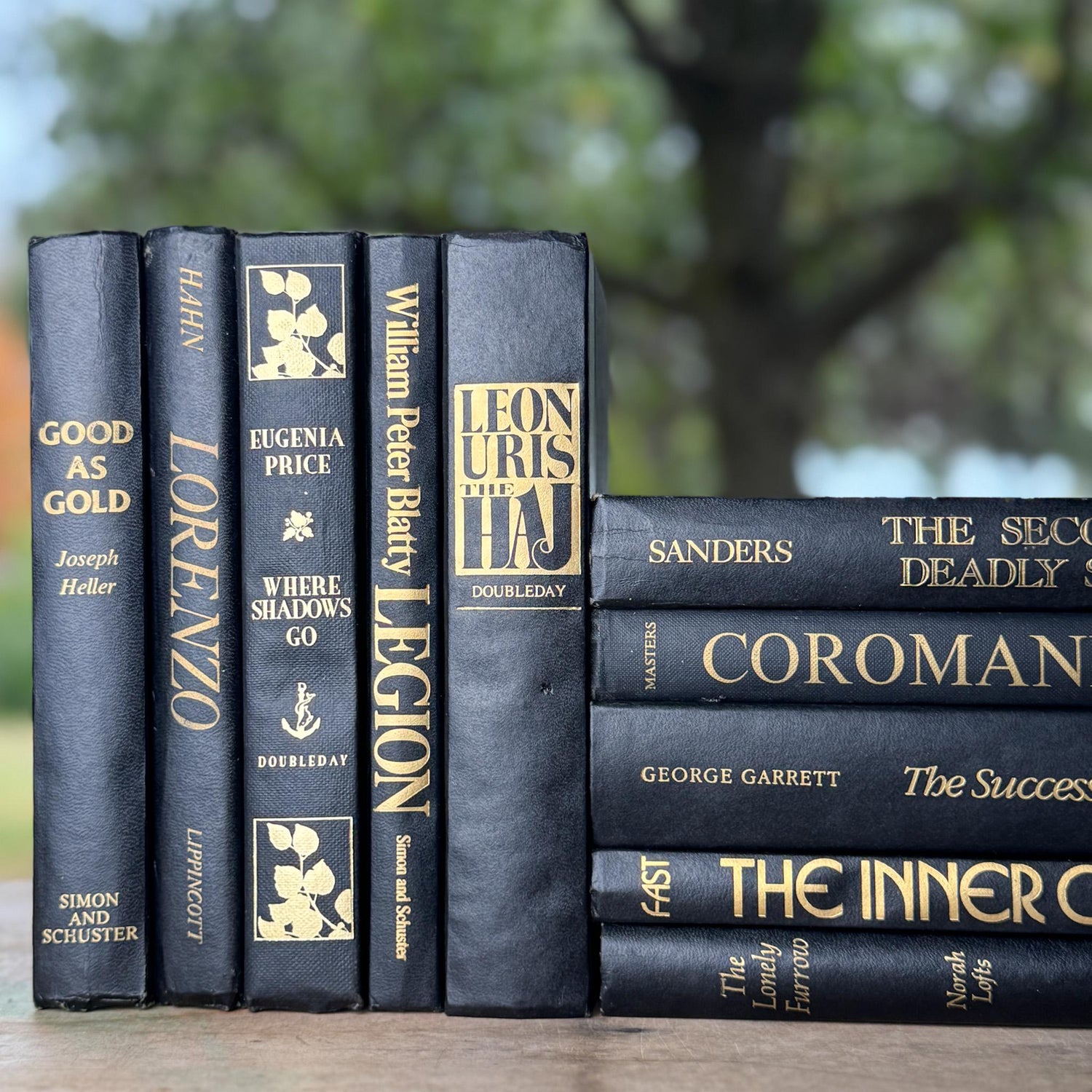 Black and Gold Vintage Book Bundle for Dark Academia Shelf Styling - Pretty Old Books