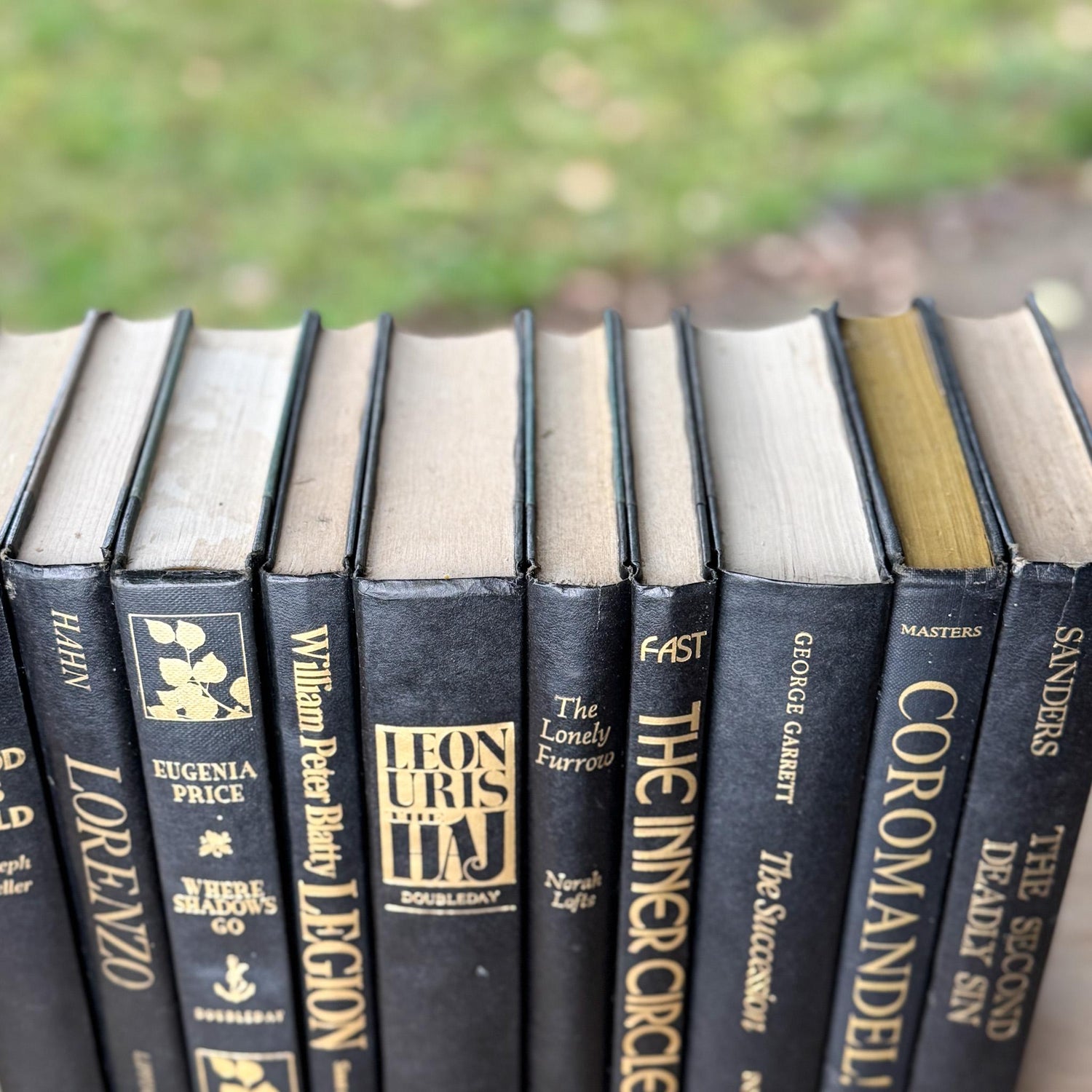 Black and Gold Vintage Book Bundle for Dark Academia Shelf Styling - Pretty Old Books