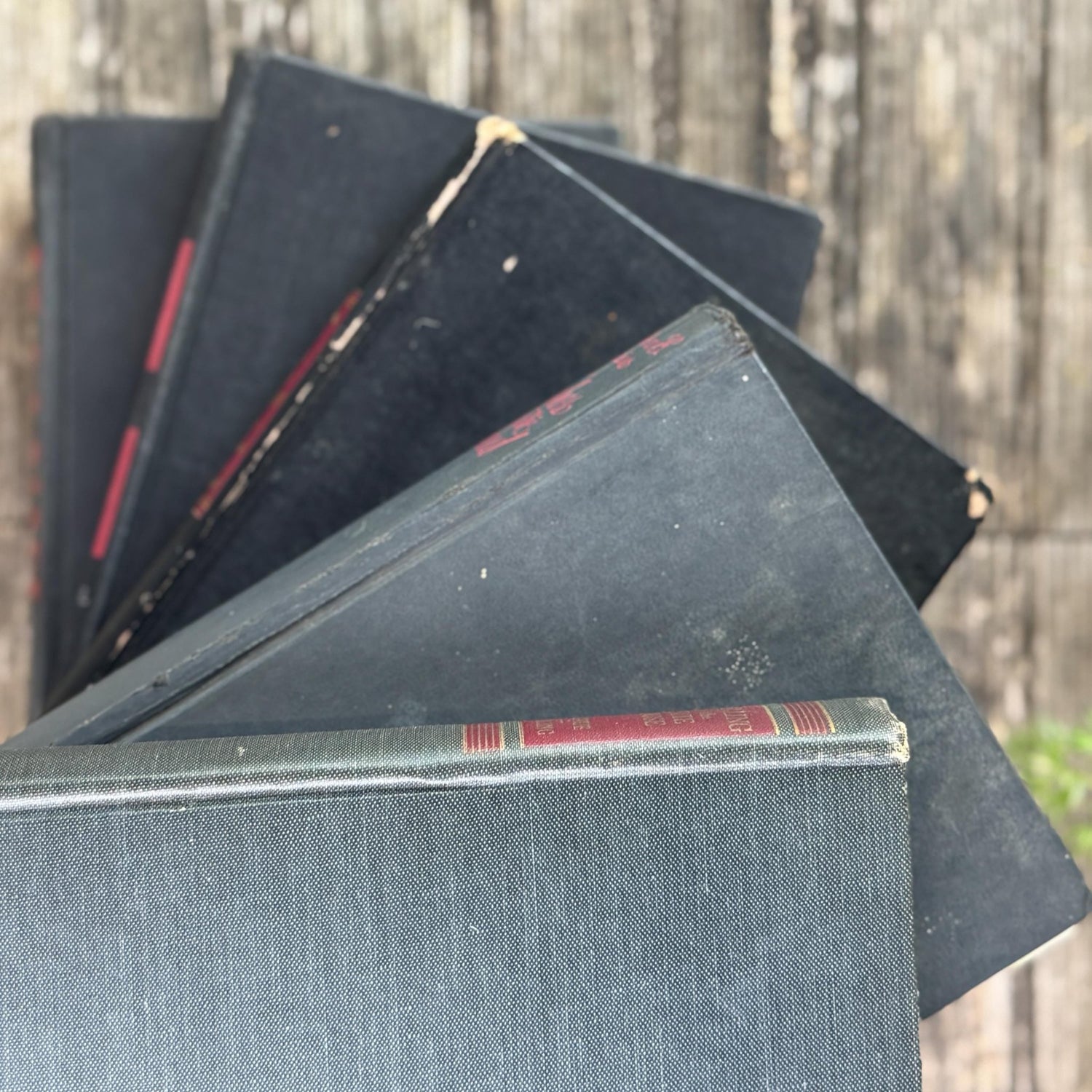 Black and Red Vintage Mid Century Books for Shelf Styling - Pretty Old Books
