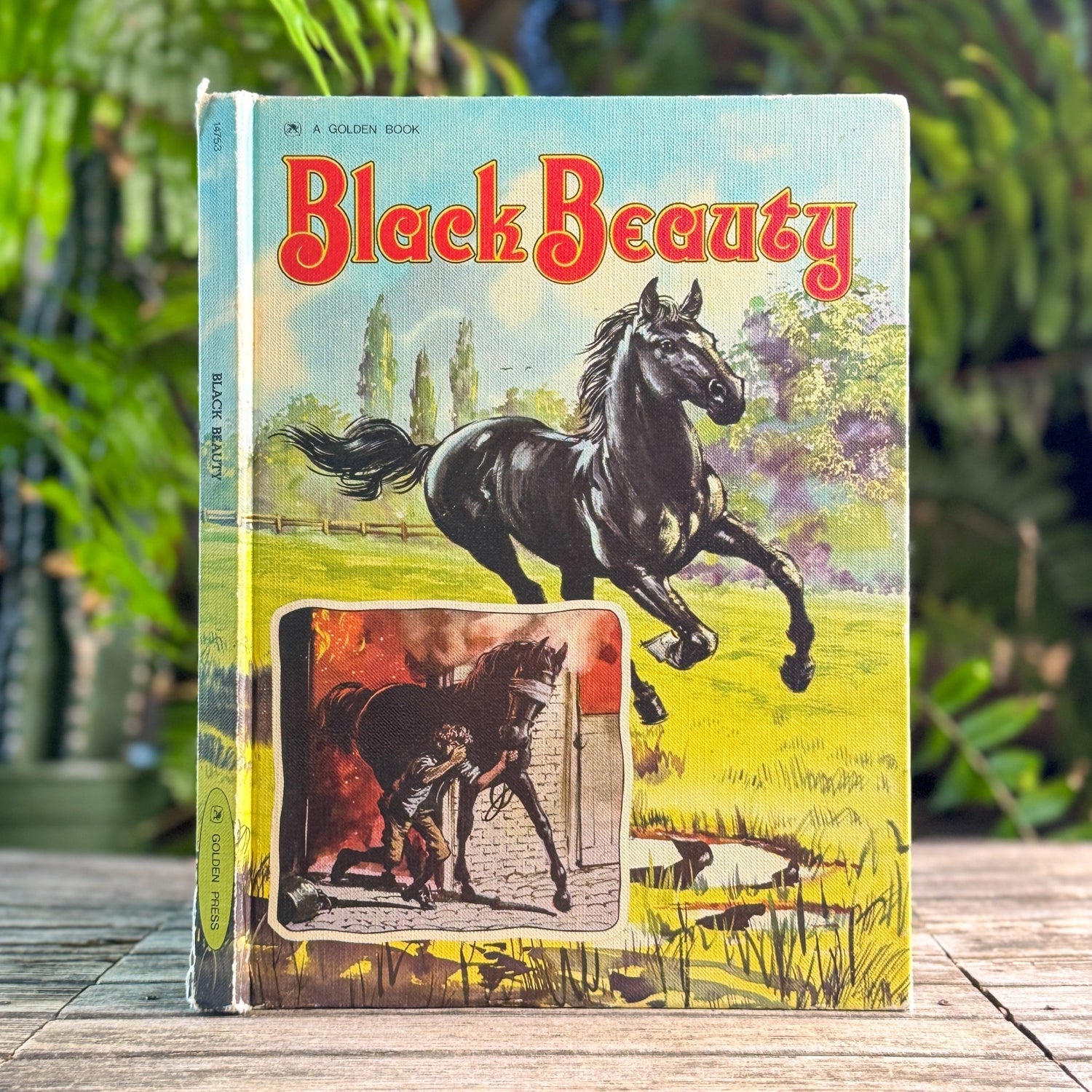 Black Beauty, Anna Sewell, Retold by Jane Carruth, 1975 Golden Book - Pretty Old Books