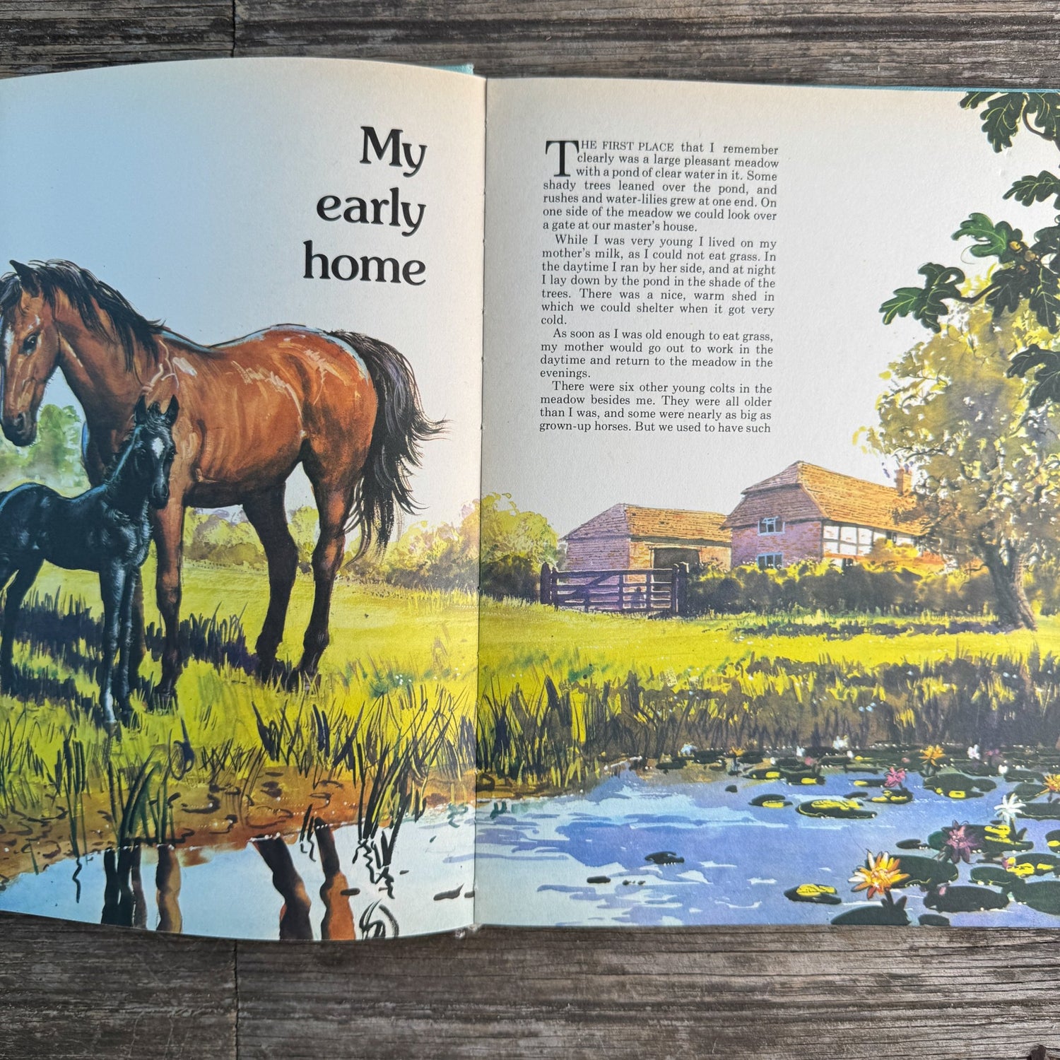 Black Beauty, Anna Sewell, Retold by Jane Carruth, 1975 Golden Book - Pretty Old Books