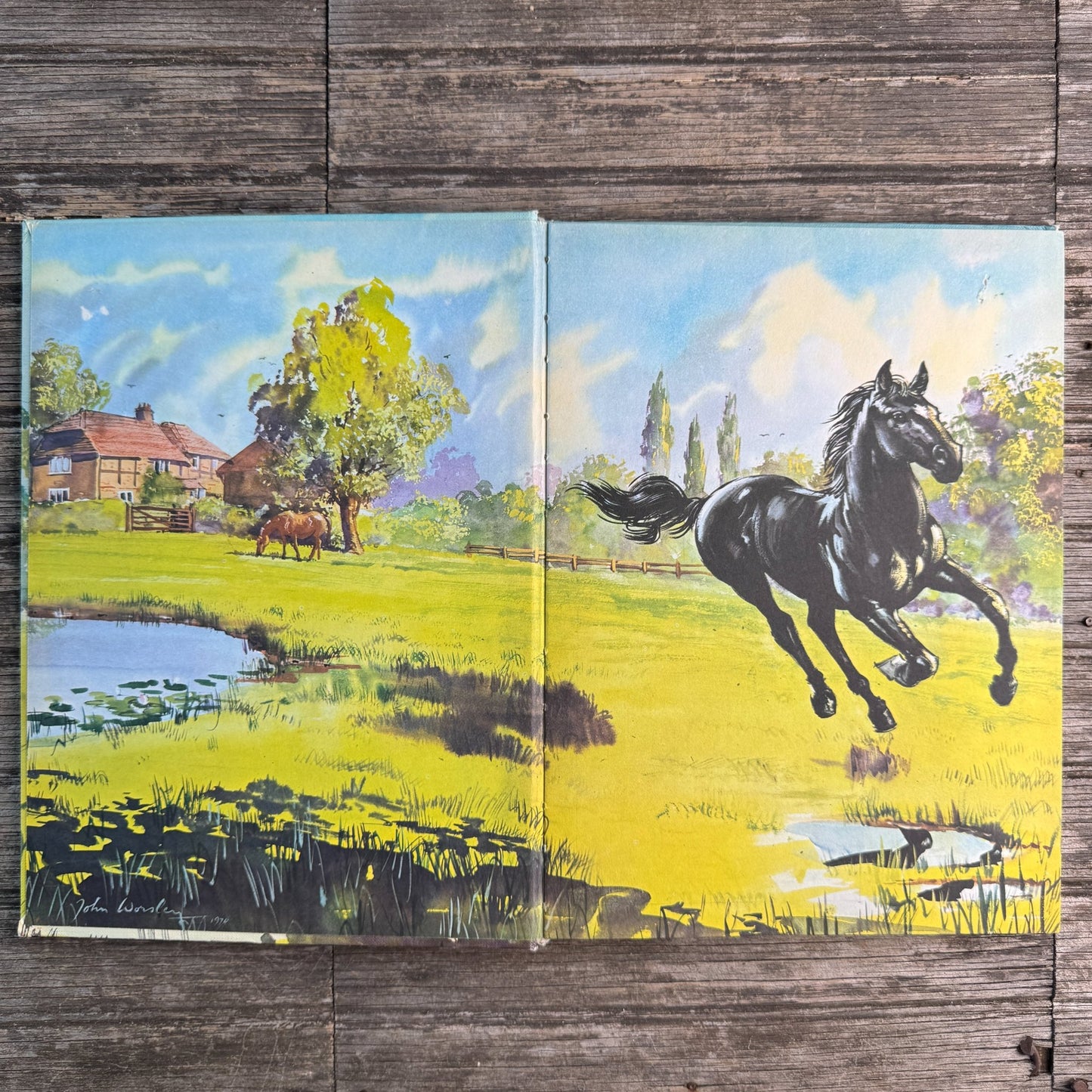 Black Beauty, Anna Sewell, Retold by Jane Carruth, 1975 Golden Book - Pretty Old Books