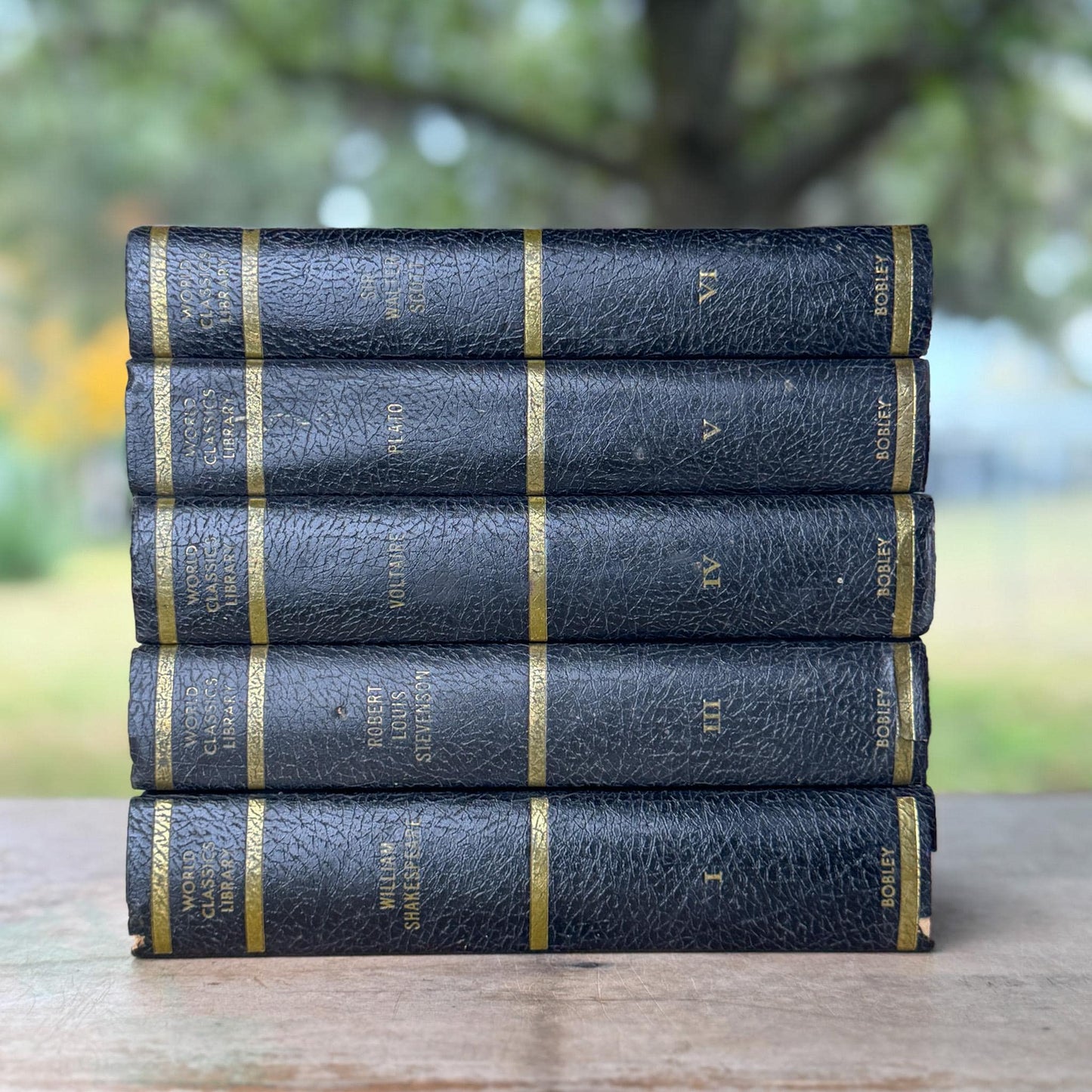 Black & Gold Vintage World Classics Library Book Set | Shakespeare, Plato, Voltaire, Stevenson, Scott - Pretty Old Books