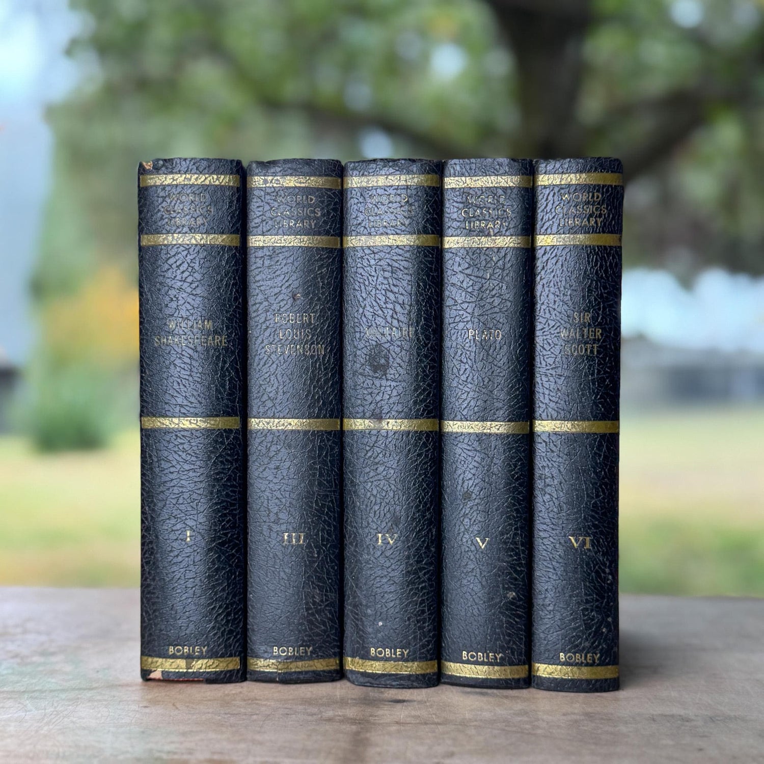 Black & Gold Vintage World Classics Library Book Set | Shakespeare, Plato, Voltaire, Stevenson, Scott - Pretty Old Books