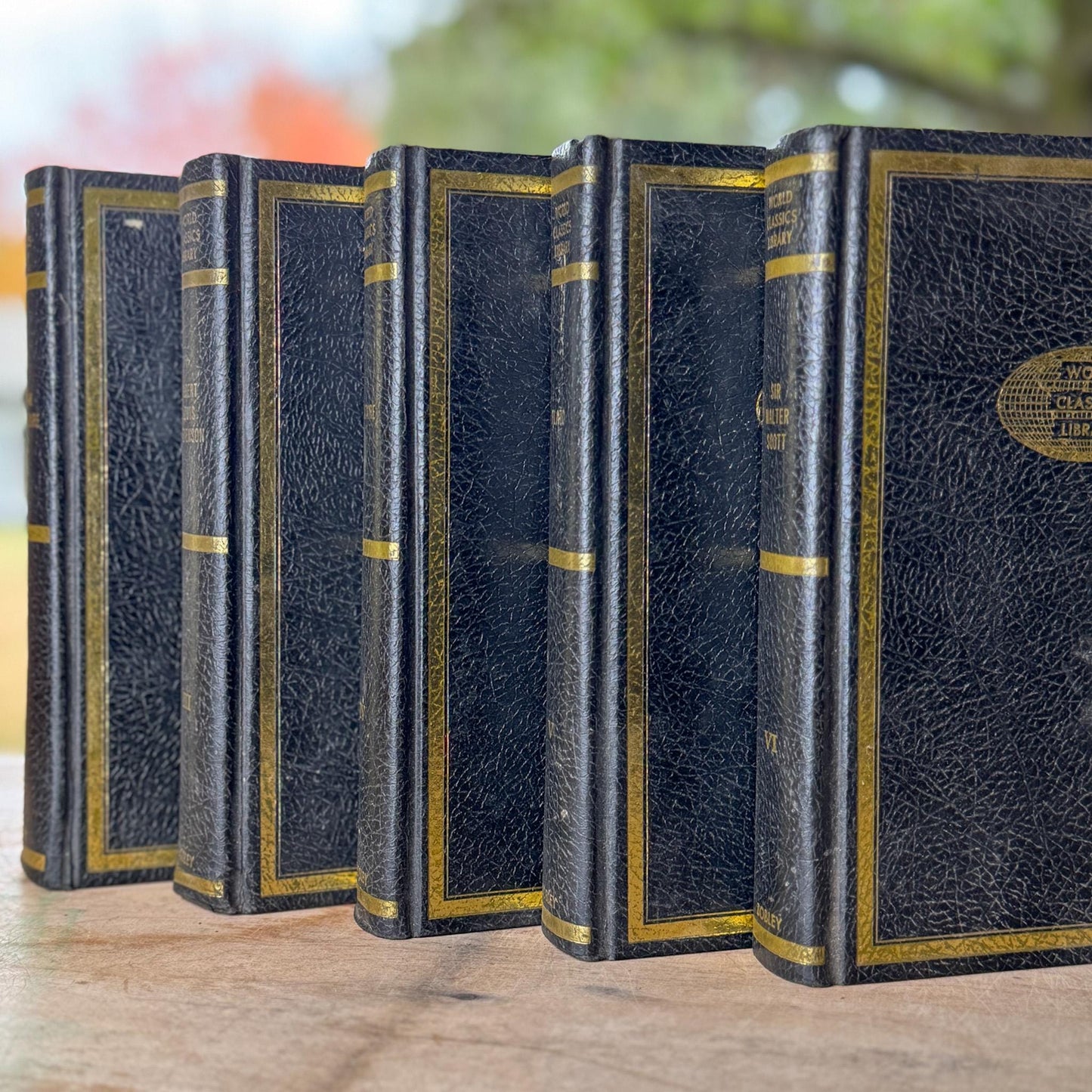 Black & Gold Vintage World Classics Library Book Set | Shakespeare, Plato, Voltaire, Stevenson, Scott - Pretty Old Books