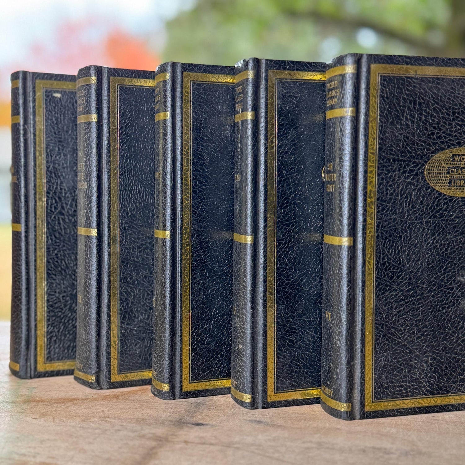Black & Gold Vintage World Classics Library Book Set | Shakespeare, Plato, Voltaire, Stevenson, Scott - Pretty Old Books