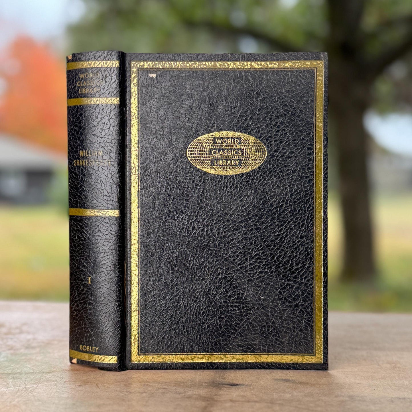 Black & Gold Vintage World Classics Library Book Set | Shakespeare, Plato, Voltaire, Stevenson, Scott - Pretty Old Books