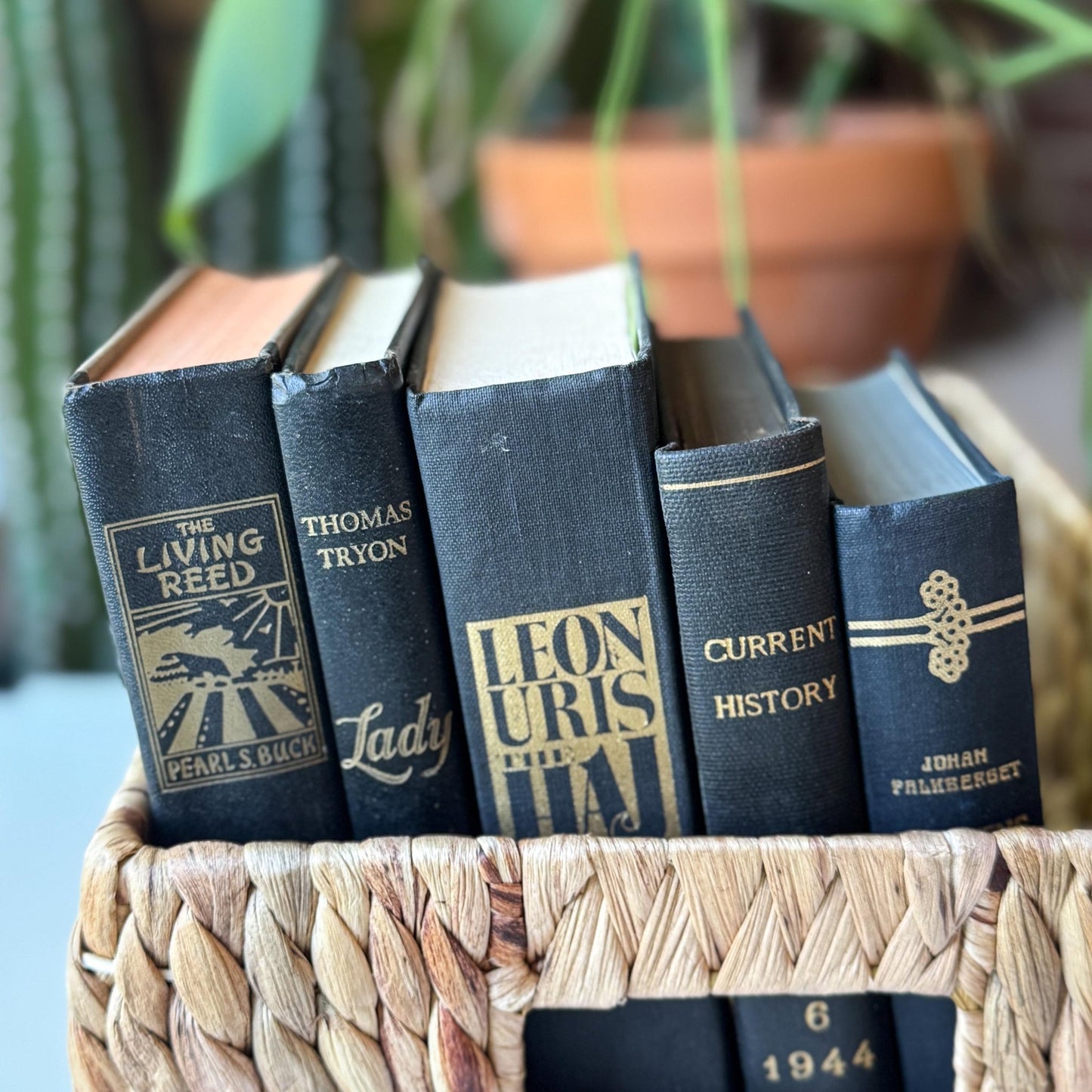 Black Vintage Book Bundle for Dark Academia Shelf Styling - Pretty Old Books